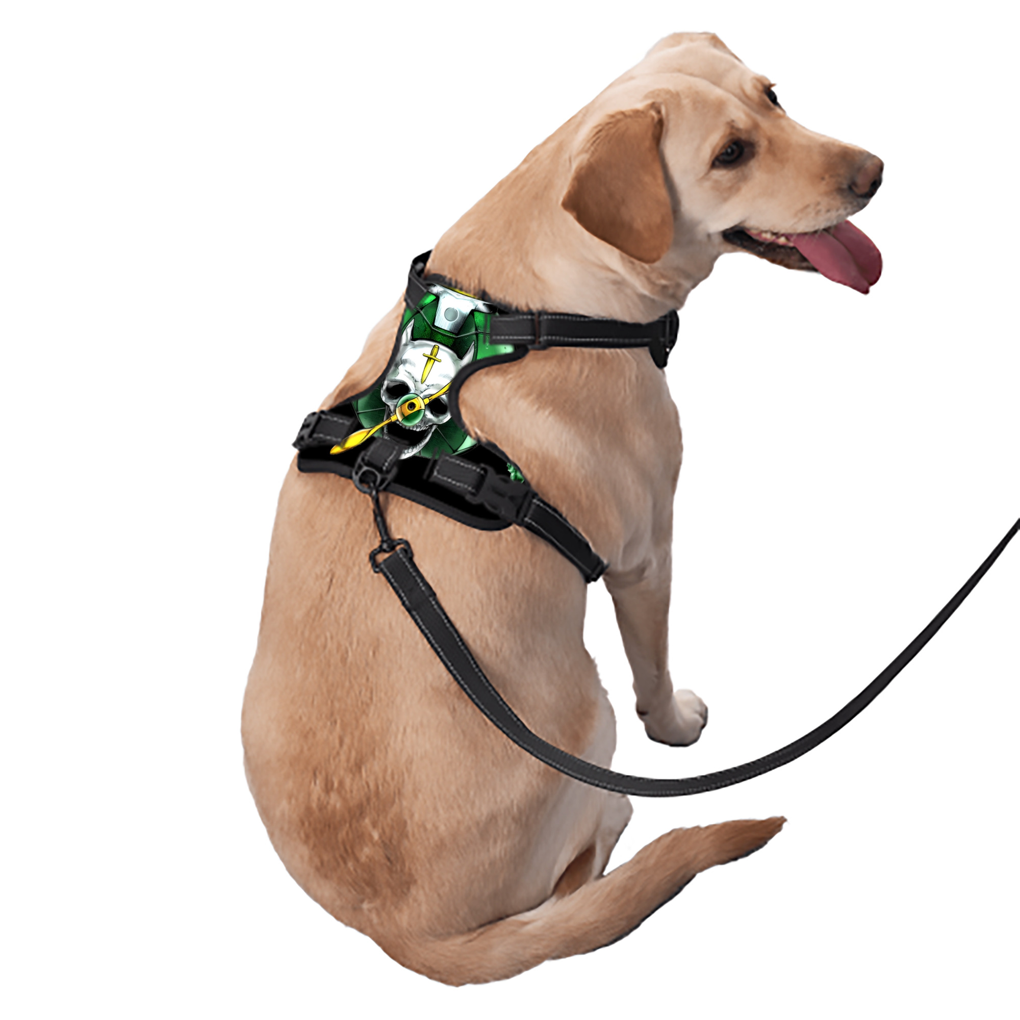 （画像用） ジョジョの奇妙な冒険 ナランチャ?ギルガ JoJo's Bizarre Adventure Narancia Ghirga ペット用ハーネス